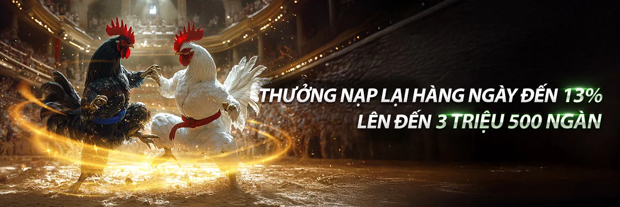 Sân vận động thể thao sôi động, cá cược trực tuyến bk888